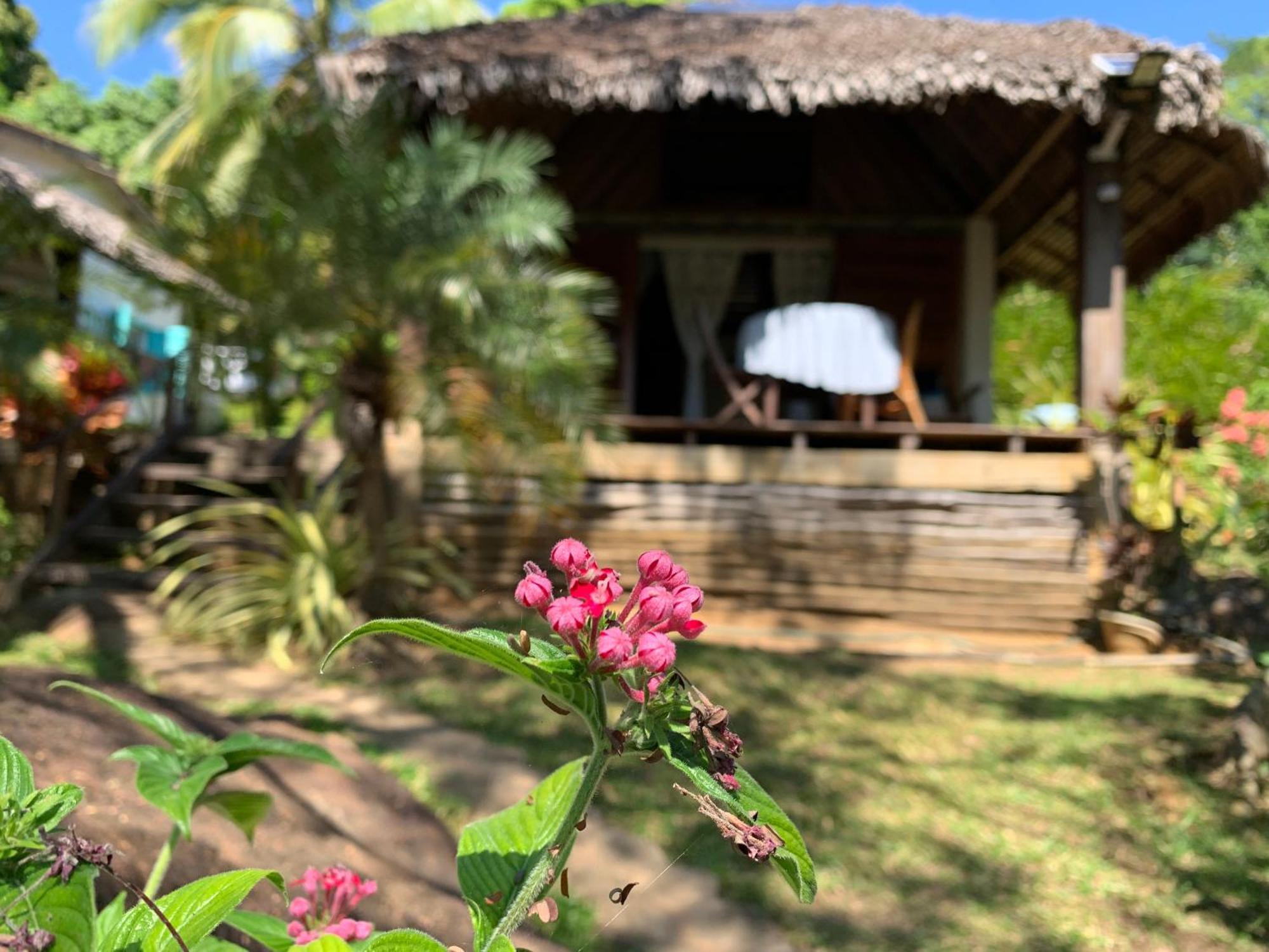 Andimaka Les Jardins D'Ankify Bed & Breakfast エクステリア 写真