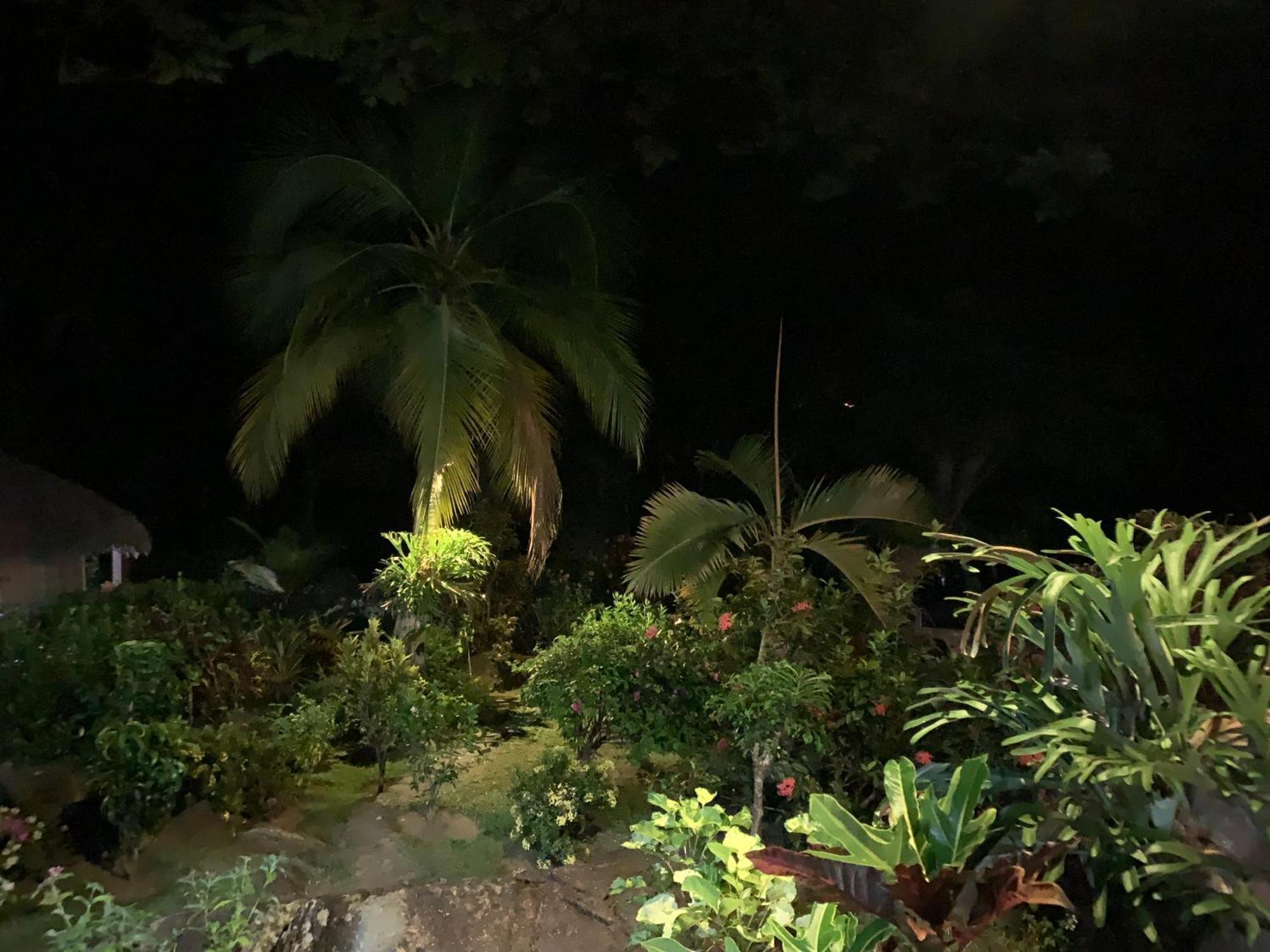 Andimaka Les Jardins D'Ankify Bed & Breakfast エクステリア 写真