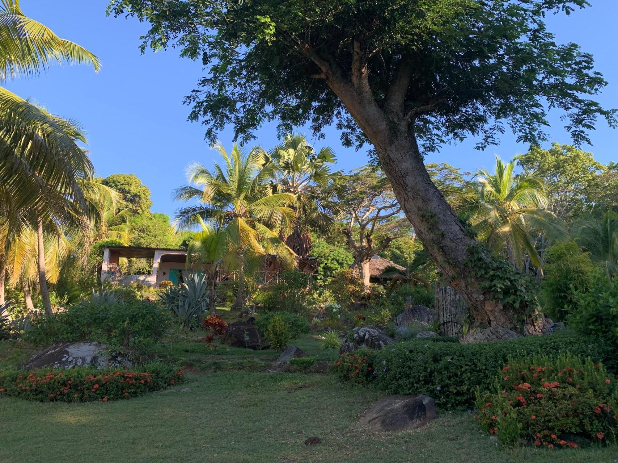Andimaka Les Jardins D'Ankify Bed & Breakfast エクステリア 写真