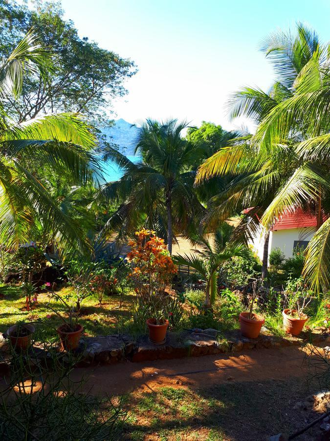 Andimaka Les Jardins D'Ankify Bed & Breakfast エクステリア 写真